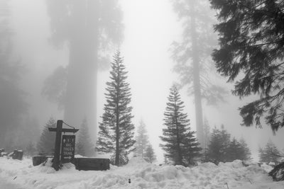 Winter Vacation in Sequoia National Park