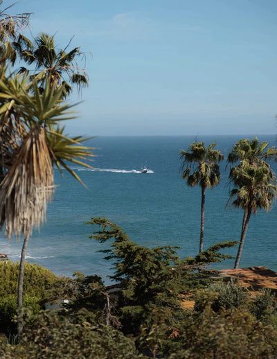 Malibu et Topanga — Là où les routes sinueuses du canyon rencontrent des plages spectaculaires