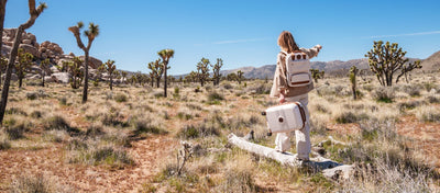 Hardside vs Soft-Sided Luggage: Which Suitcase Is Best?