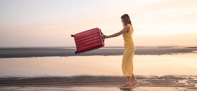 Premium Luggage on Sale